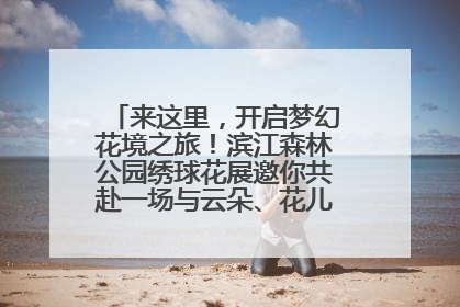 来这里，开启梦幻花境之旅！滨江森林公园绣球花展邀你共赴一场与云朵、花儿的浪漫之约