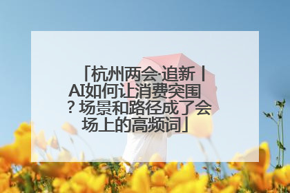 杭州两会·追新丨AI如何让消费突围？场景和路径成了会场上的高频词