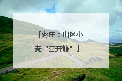枣庄：山区小麦“喜开镰”