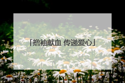 撸袖献血 传递爱心