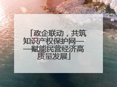 政企联动，共筑知识产权保护网——赋能民营经济高质量发展