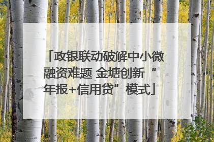 政银联动破解中小微融资难题 金塘创新“年报+信用贷”模式