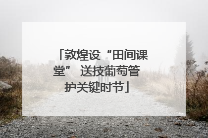 敦煌设“田间课堂” 送技葡萄管护关键时节