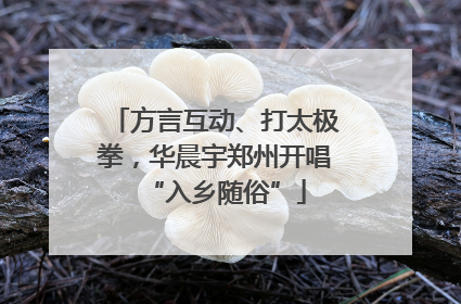方言互动、打太极拳，华晨宇郑州开唱“入乡随俗”