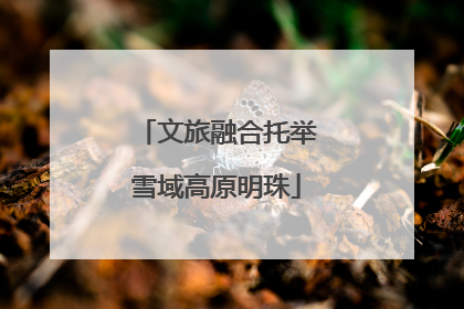 文旅融合托举雪域高原明珠