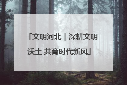 文明河北｜深耕文明沃土 共育时代新风