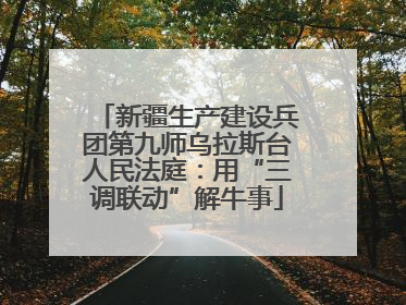 新疆生产建设兵团第九师乌拉斯台人民法庭：用“三调联动”解牛事