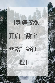 新疆孜然开启“数字丝路”新征程