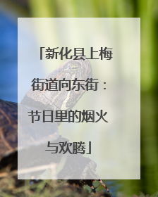 新化县上梅街道向东街：节日里的烟火与欢腾