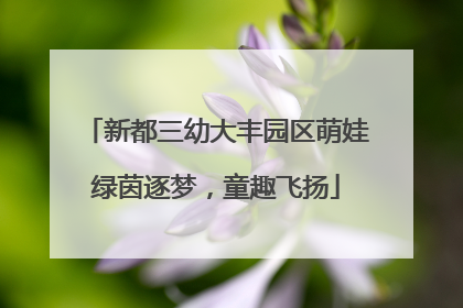 新都三幼大丰园区萌娃绿茵逐梦，童趣飞扬
