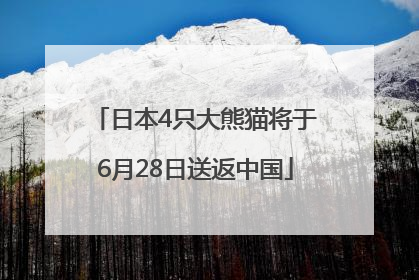日本4只大熊猫将于6月28日送返中国
