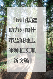 昆山援疆助力阿图什市盐碱地玉米种植实现新突破