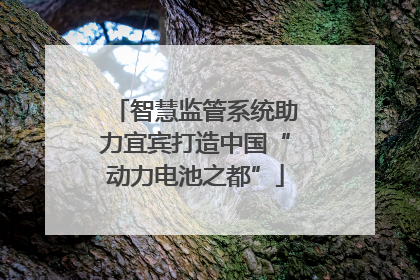 智慧监管系统助力宜宾打造中国“动力电池之都”