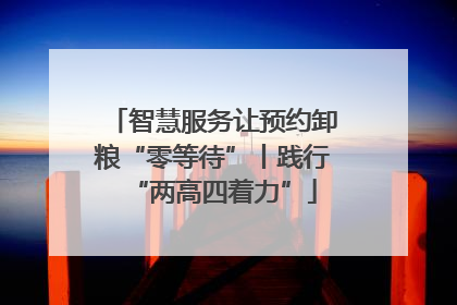 智慧服务让预约卸粮“零等待”丨践行“两高四着力”