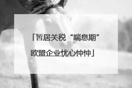 暂居关税“喘息期” 欧盟企业忧心忡忡