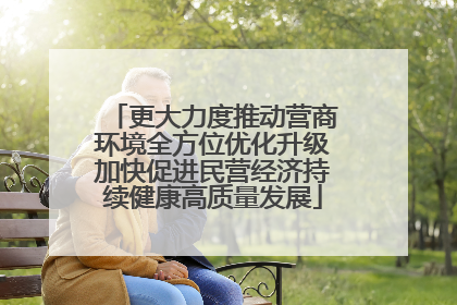 更大力度推动营商环境全方位优化升级加快促进民营经济持续健康高质量发展