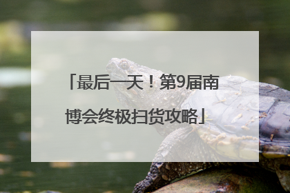 最后一天！第9届南博会终极扫货攻略