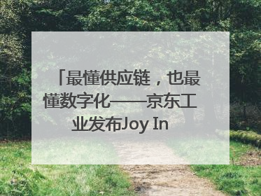 最懂供应链，也最懂数字化——京东工业发布Joy Industrial 重塑工业未来