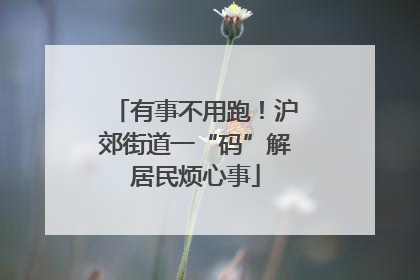 有事不用跑！沪郊街道一“码”解居民烦心事