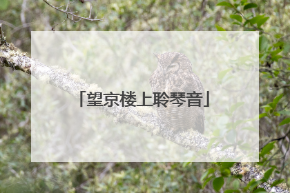望京楼上聆琴音