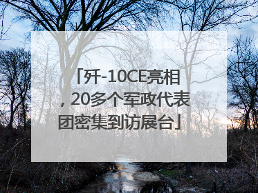 歼-10CE亮相，20多个军政代表团密集到访展台