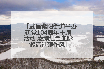 武昌紫阳街道举办建党104周年主题活动 赓续红色血脉锻造过硬作风
