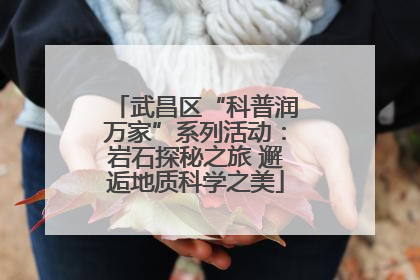 武昌区“科普润万家”系列活动：岩石探秘之旅 邂逅地质科学之美