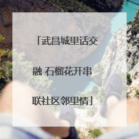 武昌城里话交融 石榴花开串联社区邻里情