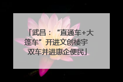 武昌：“直通车+大篷车”开进文创楼宇 双车并进惠企便民