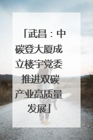 武昌：中碳登大厦成立楼宇党委 推进双碳产业高质量发展