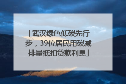 武汉绿色低碳先行一步，39位居民用碳减排量抵扣贷款利息