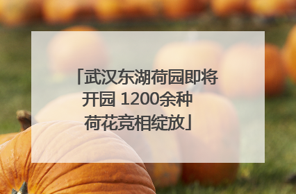武汉东湖荷园即将开园 1200余种荷花竞相绽放