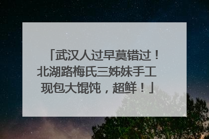 武汉人过早莫错过！北湖路梅氏三姊妹手工现包大馄饨，超鲜！