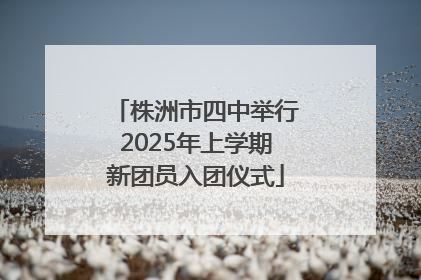 株洲市四中举行2025年上学期新团员入团仪式