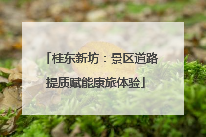 桂东新坊：景区道路提质赋能康旅体验