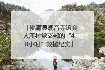 桃源县观音寺镇会人溪村党支部的“48小时”救援纪实