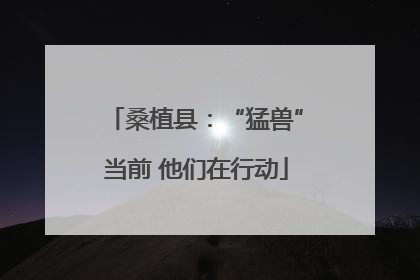 桑植县：“猛兽”当前 他们在行动