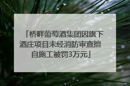 桥畔葡萄酒集团因旗下酒庄项目未经消防审查擅自施工被罚3万元