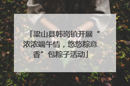 梁山县韩岗镇开展“浓浓端午情，悠悠粽意香”包粽子活动