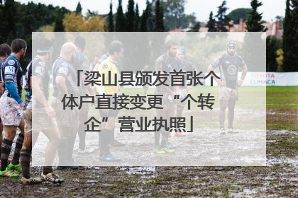 梁山县颁发首张个体户直接变更“个转企”营业执照