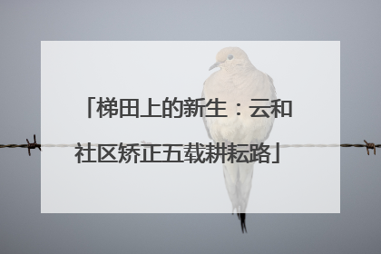 梯田上的新生：云和社区矫正五载耕耘路