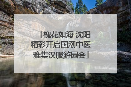 槐花如海 沈阳精彩开启国潮中医雅集汉服游园会