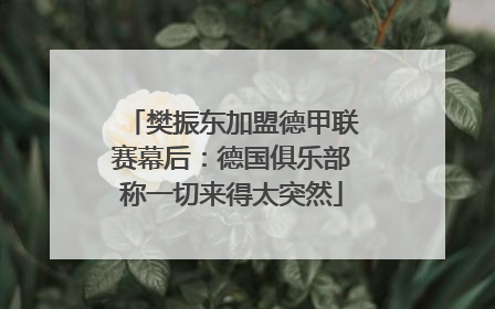 樊振东加盟德甲联赛幕后：德国俱乐部称一切来得太突然