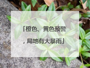 橙色、黄色预警，局地有大暴雨