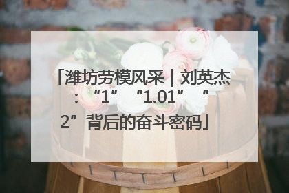 潍坊劳模风采｜刘英杰：“1”“1.01”“2”背后的奋斗密码