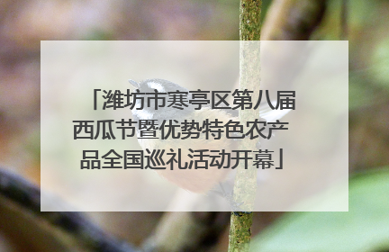 潍坊市寒亭区第八届西瓜节暨优势特色农产品全国巡礼活动开幕