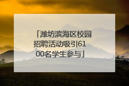 潍坊滨海区校园招聘活动吸引6100名学生参与
