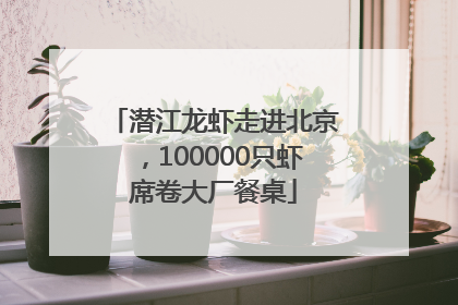 潜江龙虾走进北京，100000只虾席卷大厂餐桌