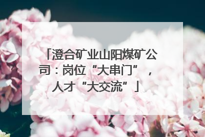 澄合矿业山阳煤矿公司：岗位“大串门”，人才“大交流”