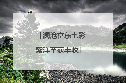 澜沧富东七彩紫洋芋获丰收